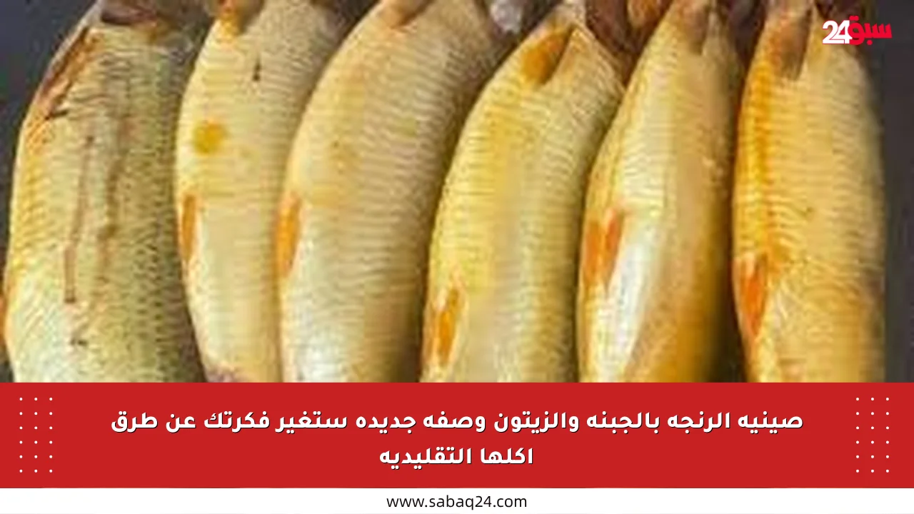 صينية الرنجة بالجبنة والزيتون وصفة جديدة ستغير فكرتك عن طرق أكلها التقليدية
